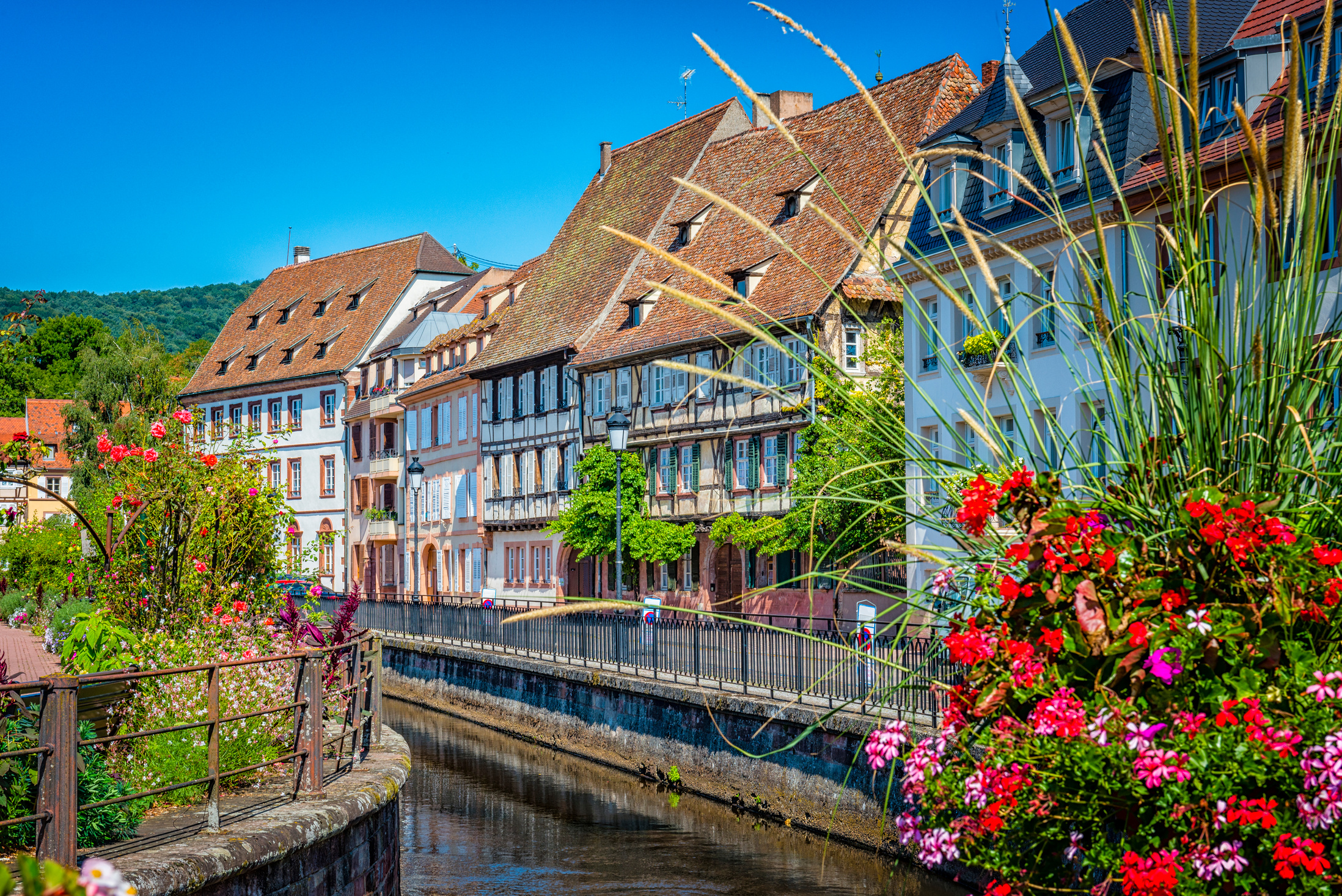 alsace wissembourg